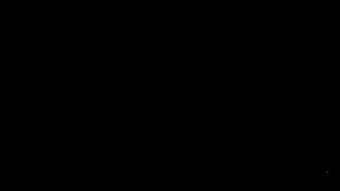 23051
