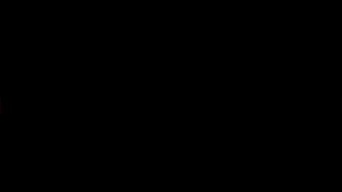 17620