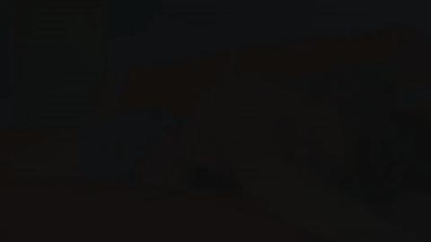 27804