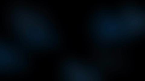11731